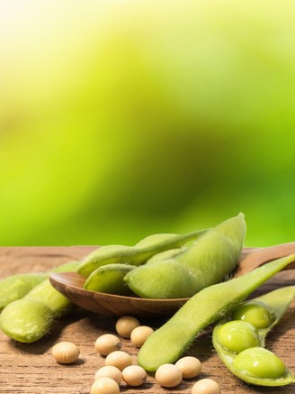 Đậu nành có phải là nguyên nhân gây ung thư?