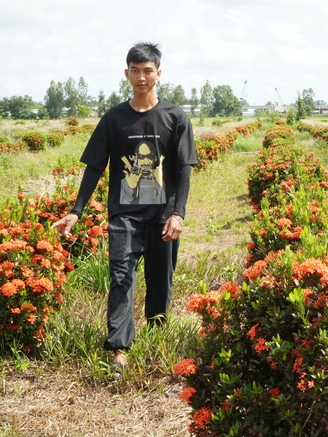 Trồng bông kiểng ‘quốc dân’ trên đất phèn mặn, thu nhập trăm triệu đồng