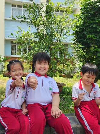 Bao giờ biết kết quả tuyển sinh lớp 1 tại TP.HCM?