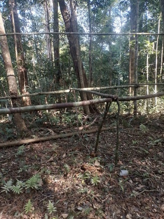 Clip rác chất đống sau giải chạy: Ban tổ chức phản hồi 'có thiếu sót'