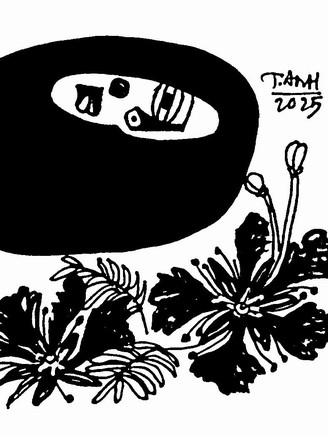 Thao thức mùa phượng nở - Thơ của Nam Thanh