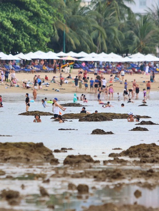 Khánh Hòa tăng cường bảo vệ rạn san hô sát bãi tắm của người dân