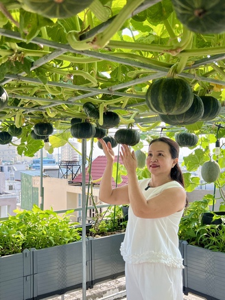 Vườn sân thượng ở TP.HCM trồng bí, dưa lưới sai quả: Bí quyết ăn quanh năm không hết