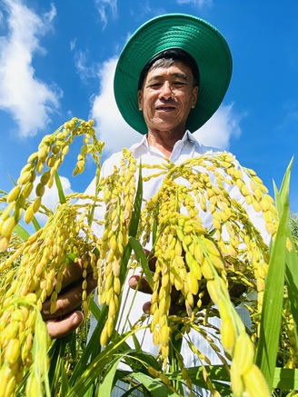 Người Việt đang vẽ lại bản đồ gạo thế giới