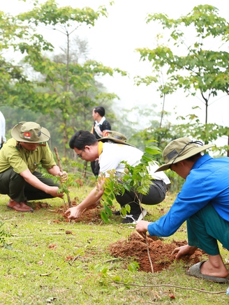 Hành trình 'Rừng cây tử tế'
