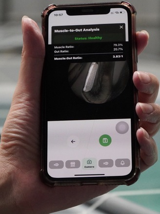 Ứng dụng đánh giá sức khỏe tôm giống bằng AI
