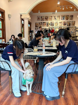 Quán cà phê lúc nào cũng đông kín khách nhờ những 'nhân viên' đặc biệt này...