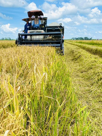 Tin tức đặc biệt trên báo in Thanh Niên 6.8.2025