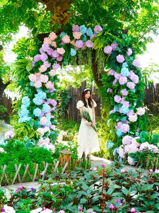 Quán cà phê ở Cần Thơ có nhiều hoa lá như Đà Lạt