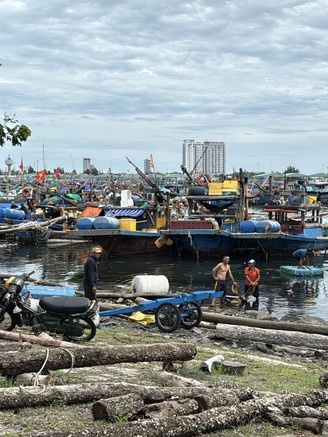 Ngư dân Đà Nẵng tất bật ra khơi sau bão số 10 