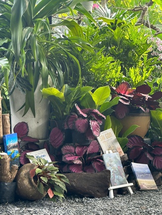 Một không gian xanh mướt hiếm có ở đô thị trong sách của Trần Thùy Linh