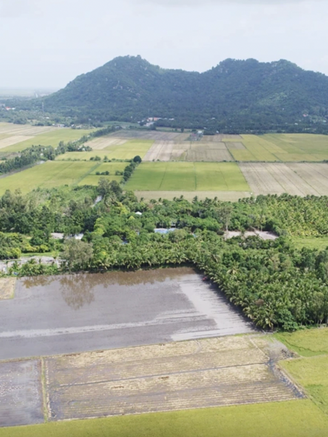 Đề nghị công nhận Khu di tích Óc Eo - Ba Thê là di sản thế giới