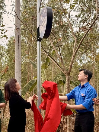 Trồng hơn 11.000 cây tre ở khu vực biên giới Đồng Nai