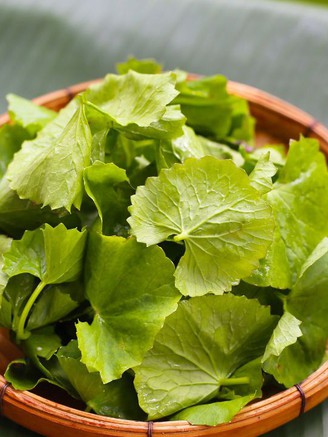 Uống rau má thường xuyên liệu có tốt cho gan?