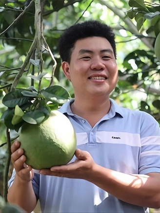 9X cho bưởi da xanh 'sinh đẻ có kế hoạch', thu khoảng 8 tỉ đồng/năm