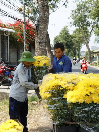 Làng hoa Mỹ Phong ở Đồng Tháp rạo rực, gần 1 triệu giỏ hoa tết ra phố
