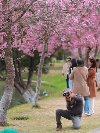 Thợ ảnh dạo Đà Lạt: Bỏ in hình, chuyển sang 'bắn' file, thu tiền triệu mỗi ngày