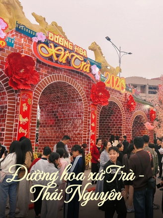 Hàng nghìn người đổ về du xuân ở đường hoa xứ Trà Thái Nguyên