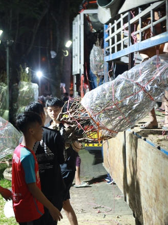 0 giờ ở chợ hoa tết công viên Gia Định vẫn có người ghé mua