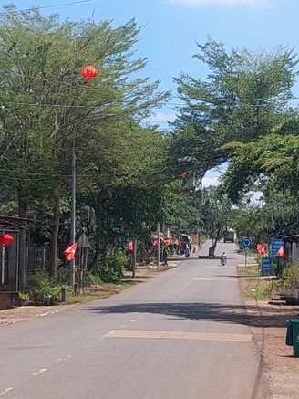 Tàn cây che khuất tầm nhìn