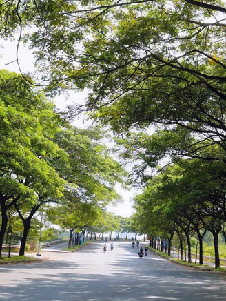 Những tuyến đường ai cũng muốn đi qua giữa thời tiết nắng nóng gay gắt ở TP.HCM