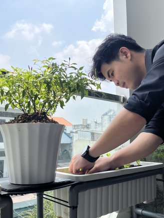 Giữa mùa nắng nóng gay gắt, vì sao người trẻ đổ xô trồng cây ở ban công?