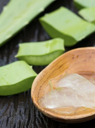 Nha đam có thể giúp phục hồi trí nhớ?