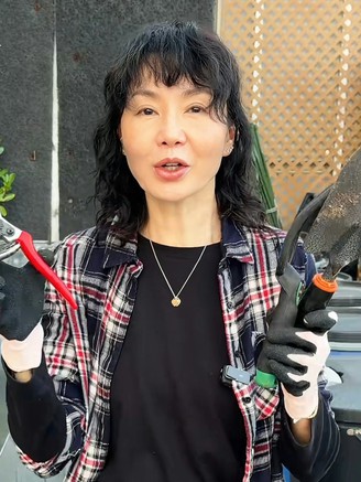 Trương Mạn Ngọc rời showbiz về làm nông, hút triệu fan trên mạng xã hội