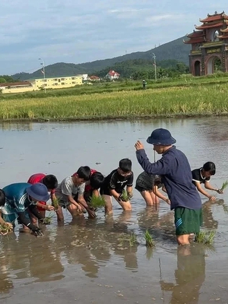 Hè này cho con học gì?: Độc đáo lớp cấy lúa, bắt ốc cho 'khối nghỉ hè'