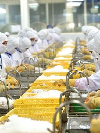 Mở cánh cửa vào thị trường ngàn tỉ USD