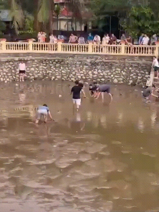 Đánh rơi dây chuyền 1 cây vàng, hai vợ chồng tát cạn giếng làng để tìm