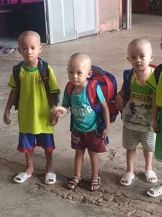 Người gieo mầm xanh trên đất biển
