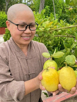 Người gieo mầm thiện nguyện nơi cửa thiền