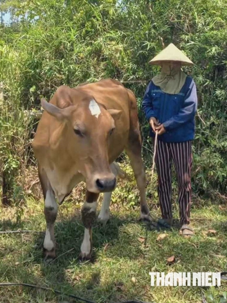 Bật khóc với trend 'hãy bước lên một bước nếu…'
