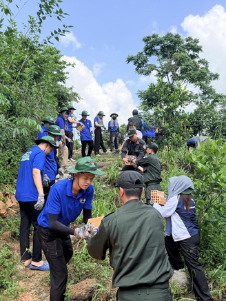 Mang màu xanh về với Tà Lài