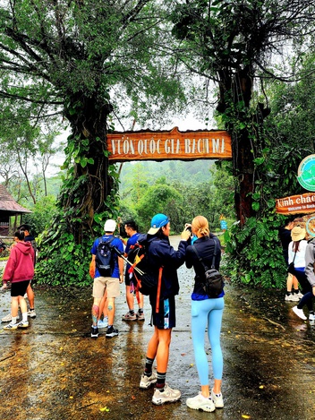 Trekking Vườn quốc gia Bạch Mã: Không lấy gì ngoài những bức ảnh đẹp!