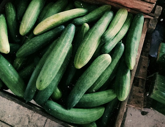 Không ngờ ăn dưa chuột ngừa được nhiều bệnh quan trọng- Ảnh 1.