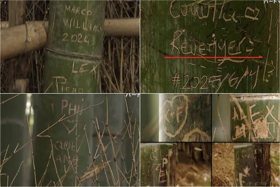 Dân mạng bức xúc trước dòng chữ tiếng Việt khắc trong rừng tre Nhật Bản

- Ảnh 1.