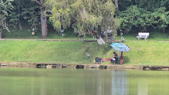 Sạt trượt ta luy, bờ kè quanh thắng cảnh hồ Xuân Hương - Đà Lạt - Ảnh 5.