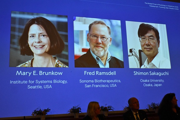 Nobel Y sinh 2025 gọi tên khám phá về k…