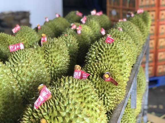 Xuất khẩu rau quả tăng vọt, đạt kỷ lục …