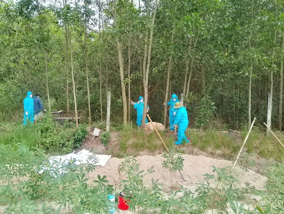 Quảng Ngãi hỗ trợ kinh phí ph…