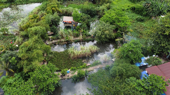 Đi xuyệt cá, 2 anh em ruột ở …