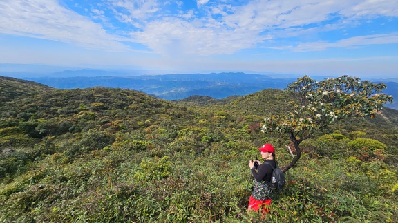 Quảng Trị có thêm tour du lịch trekking chinh phục đỉnh Voi Mẹp- Ảnh 4. Quảng Trị có thêm tour du lịch trekking chinh phục đỉnh Voi Mẹp- Ảnh 4.
