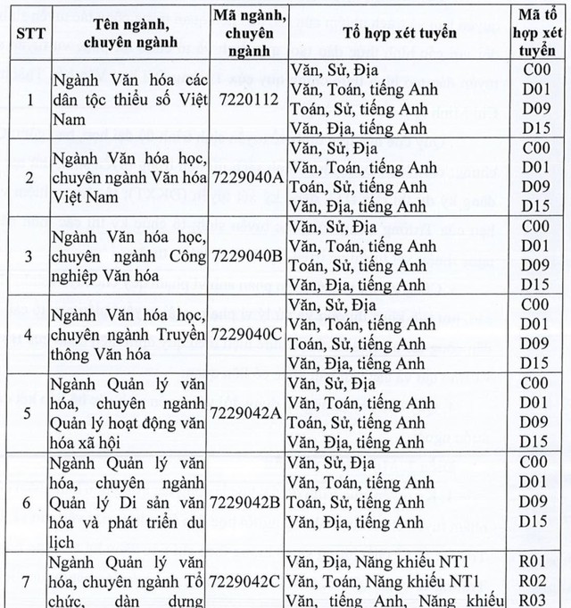 Tuyển sinh: Một trường đại học cho phép thí sinh nhờ người trợ diễn thi năng khiếu - Ảnh 2.