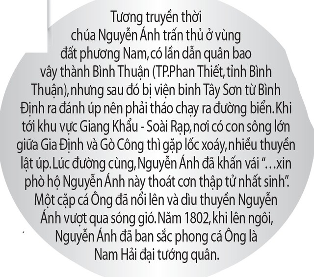 Làng chài Trường Sa cầu mùa  - Ảnh 4.