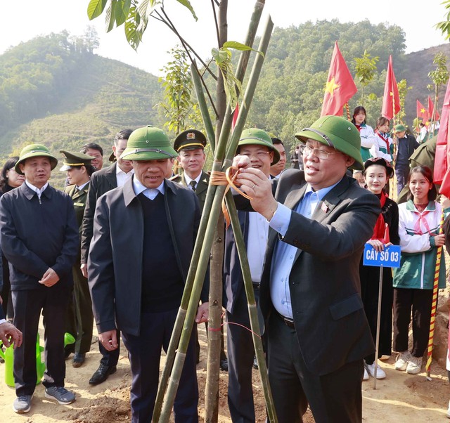 Xây dựng Tuyên Quang là Trung tâm lâm nghiệp ứng dụng công nghệ cao - Ảnh 1.