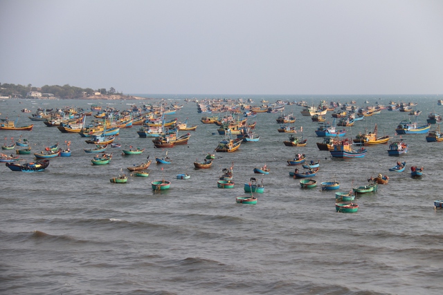 Bình Thuận: yêu cầu tháo dỡ các lán trại bán hải sản &quot;cân điêu&quot; ở Mũi Né - Ảnh 3.