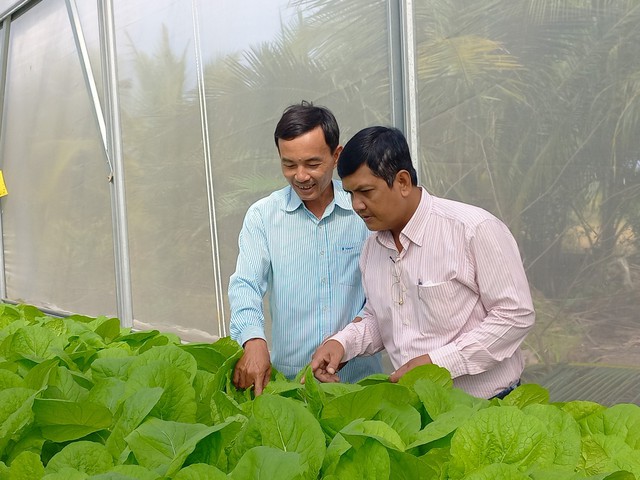Xin nghỉ hưu rời chức giám đốc VNPT, trồng rau thủy canh thu nhập hơn 100 đồng/tháng - Ảnh 2.