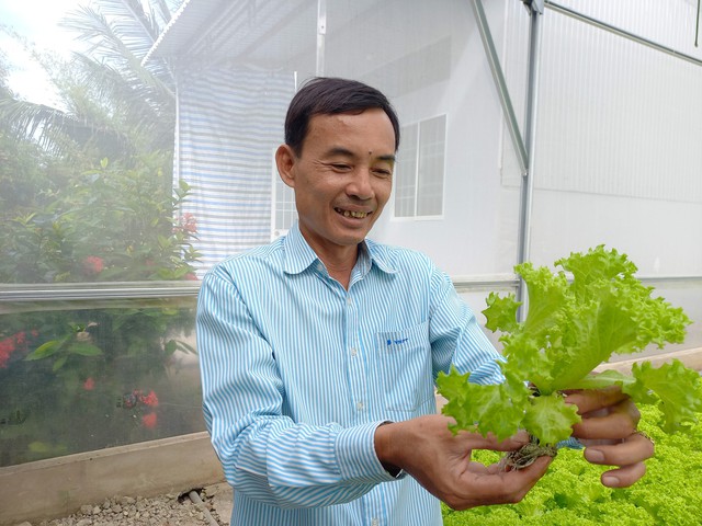 Xin nghỉ hưu rời chức giám đốc VNPT, trồng rau thủy canh thu nhập hơn 100 đồng/tháng - Ảnh 1.